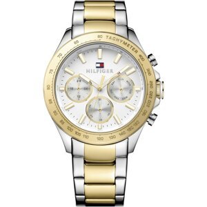 Tommy Hilfiger Hudson 1791226