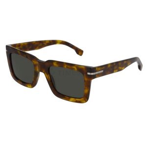 Hugo Boss BOSS 1501/S WR9 70 51