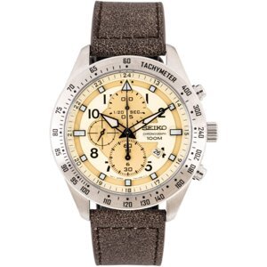 Seiko Criteria SNDH43P1