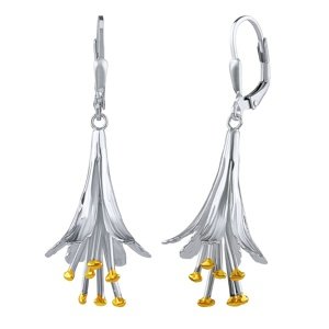 Strieborné náušnice Andie zlatené 18kt. zlatom