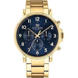 TOMMY HILFIGER DANIEL 1710384