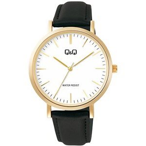 Q+Q Mens C34A-009PY