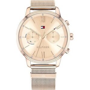 TOMMY HILFIGER model BLAKE 1782303