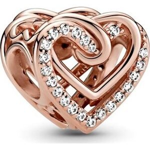 PANDORA Moments People 789270C01
