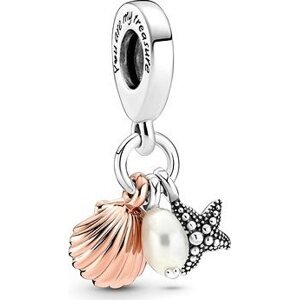 PANDORA Moments 781690C01 (Ag 925/1000 + Všeobecný kov; 1,52 g)