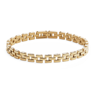 DANIEL WELLINGTON dámsky náramok 5-Link DW004009XX-1