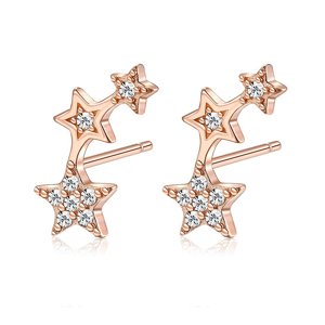 OLIVIE Strieborné pozdĺžne náušnice HVIEZDIČKY ROSE 5513 Ag 925; ≤0,8 g.