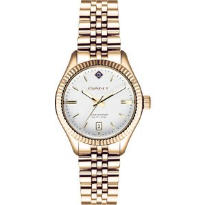 GANT G136008