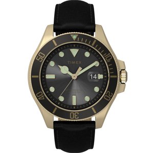 TIMEX TW2V42200