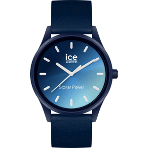 ICE-WATCH 020604