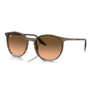 Ray-Ban RB2204 13953B -  (54-20-145)