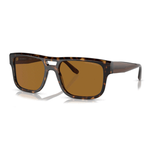 EMPORIO ARMANI EA4197 587983 Polarizačné - M (57-18-145)