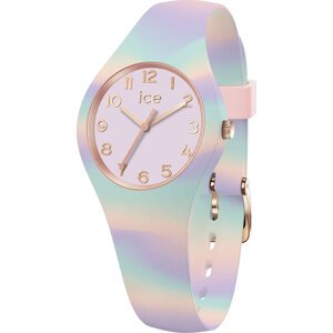 ICE-WATCH 021010