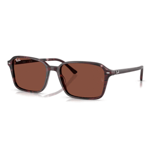 Ray-Ban RB2231 1416C5 -  (58-18-145)