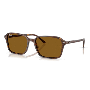 Ray-Ban RB2231 141833 -  (58-18-145)