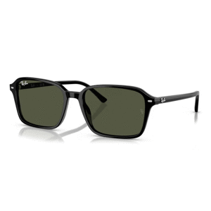 Ray-Ban RB2231 901/31 -  (58-18-145)