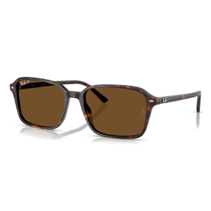 Ray-Ban RB2231 902/57 Polarizačné -  (58-18-145)