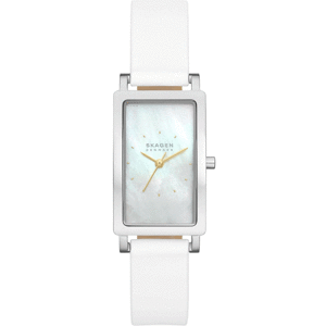 SKAGEN SKW3141