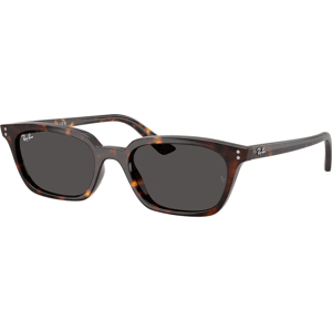Ray-Ban RB4456 135987 -  (53-19-145)