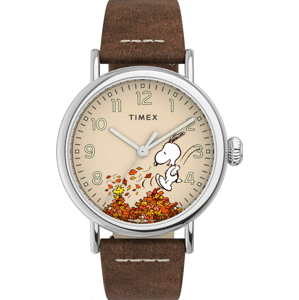 TIMEX TW2U86200