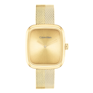 CALVIN KLEIN 25100099