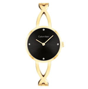 CALVIN KLEIN 25100059