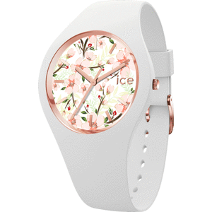 ICE-WATCH 020516