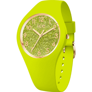 ICE-WATCH 021225