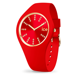 ICE-WATCH 021302