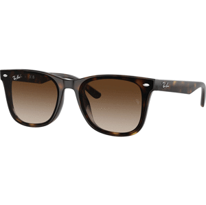 Ray-Ban RB4420 710/13 - M (65-18-145)